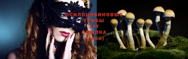 тгк Аркадак