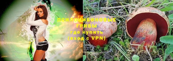 прущий лед Армянск