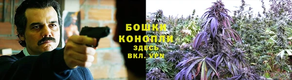 ПСИЛОЦИБИНОВЫЕ ГРИБЫ Алексин